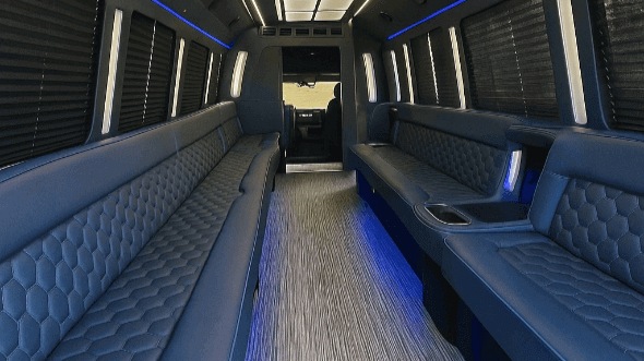 25 passenger party bus interior
